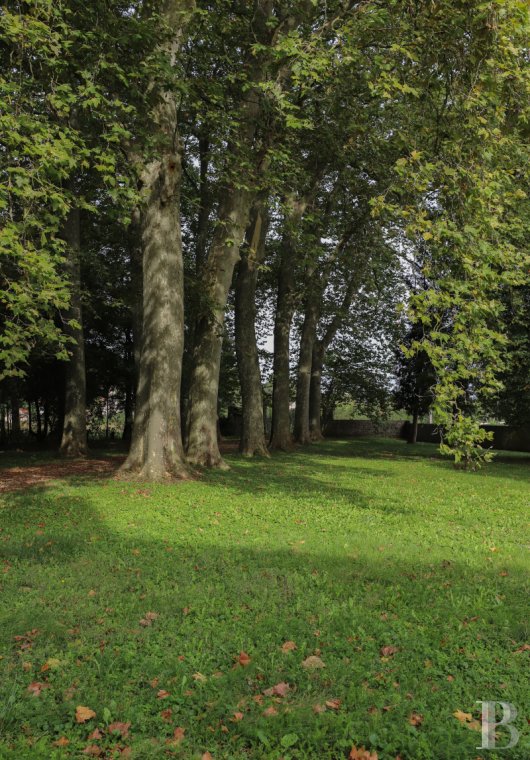A chateau affiliated with Burgundy's greatest vineyards and permaculture to the south of Beaune - photo  n°4